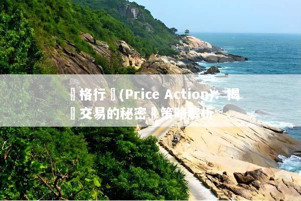 價格行為(Price Action)：揭開交易的秘密與策略解析